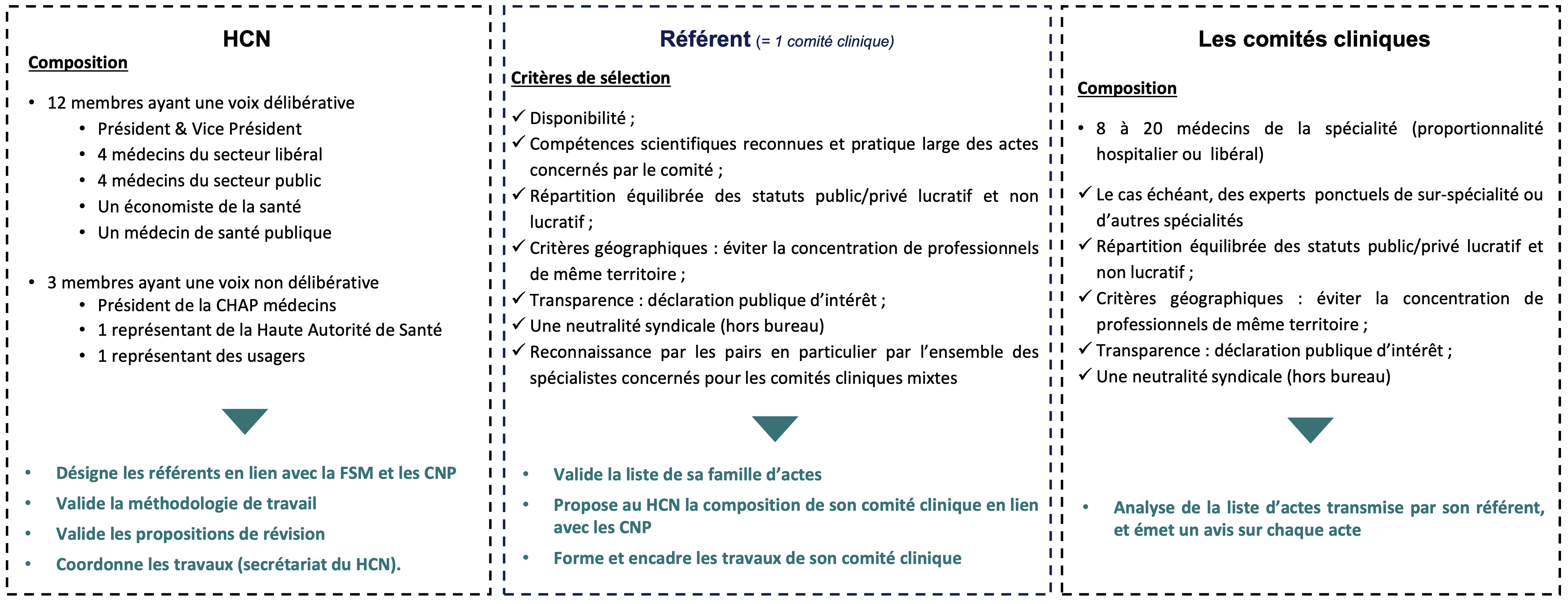 Composition du HCN et des comités cliniques
